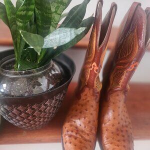 Men's Browm Genuine Ostrich Cowboy Boots